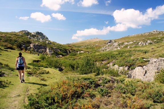 corsica plateau du coscione 8